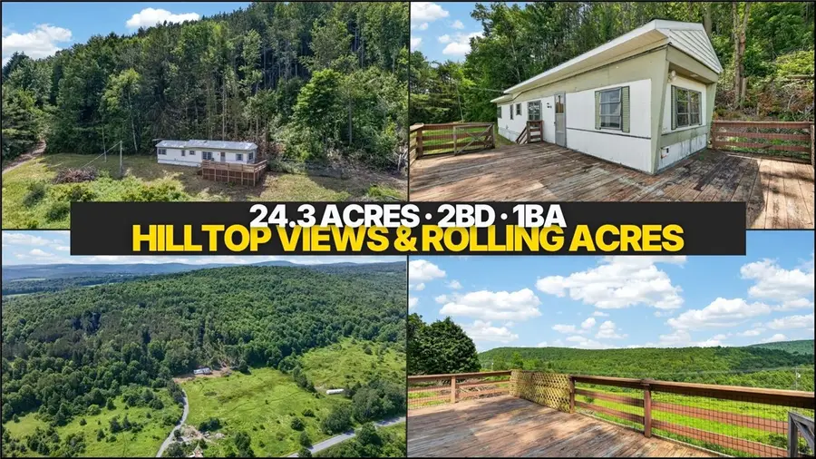 118 Lookout Drive, Charlotteville, NY 12036 - #2