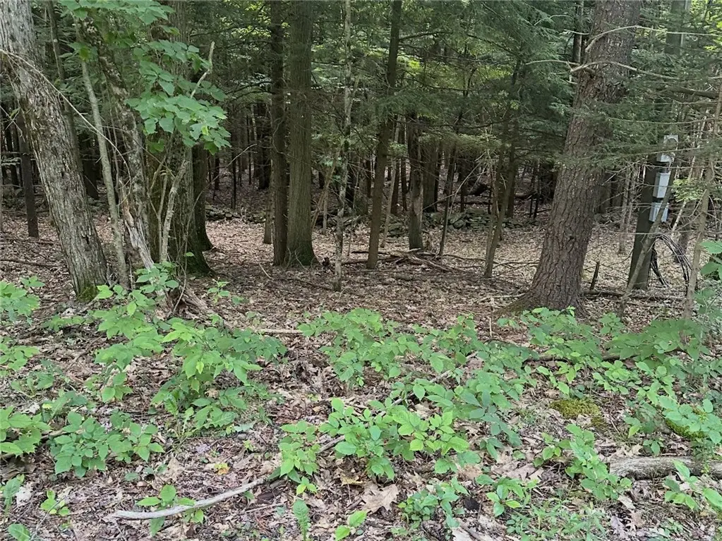 Deer Path, Jefferson, NY 12167 - #1