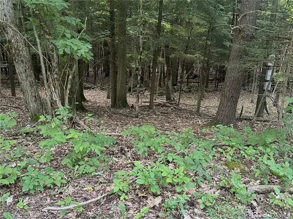 Deer Path, Jefferson, NY 12167