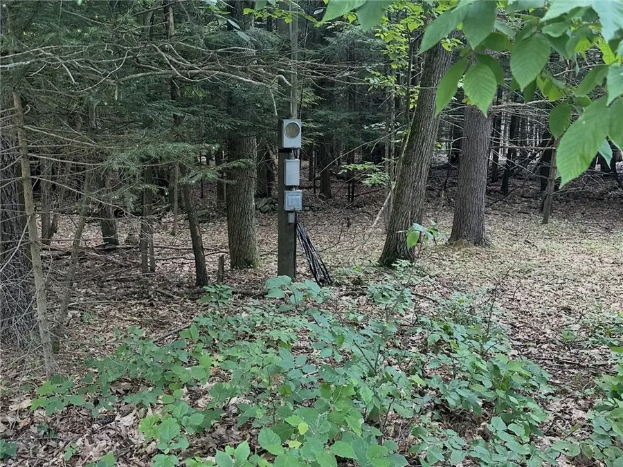 Deer Path, Jefferson, NY 12167 - #2