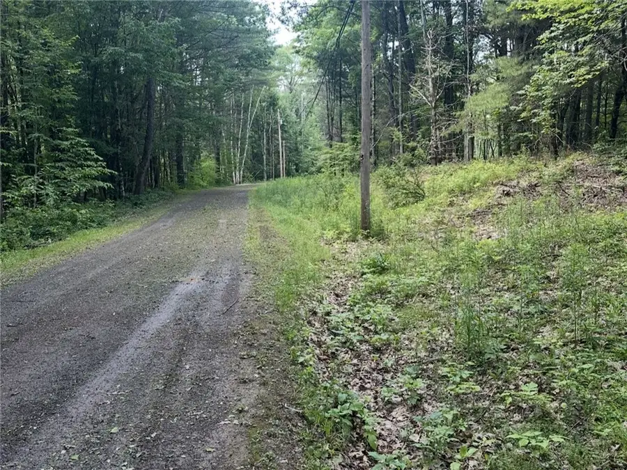 Deer Path, Jefferson, NY 12167 - #3