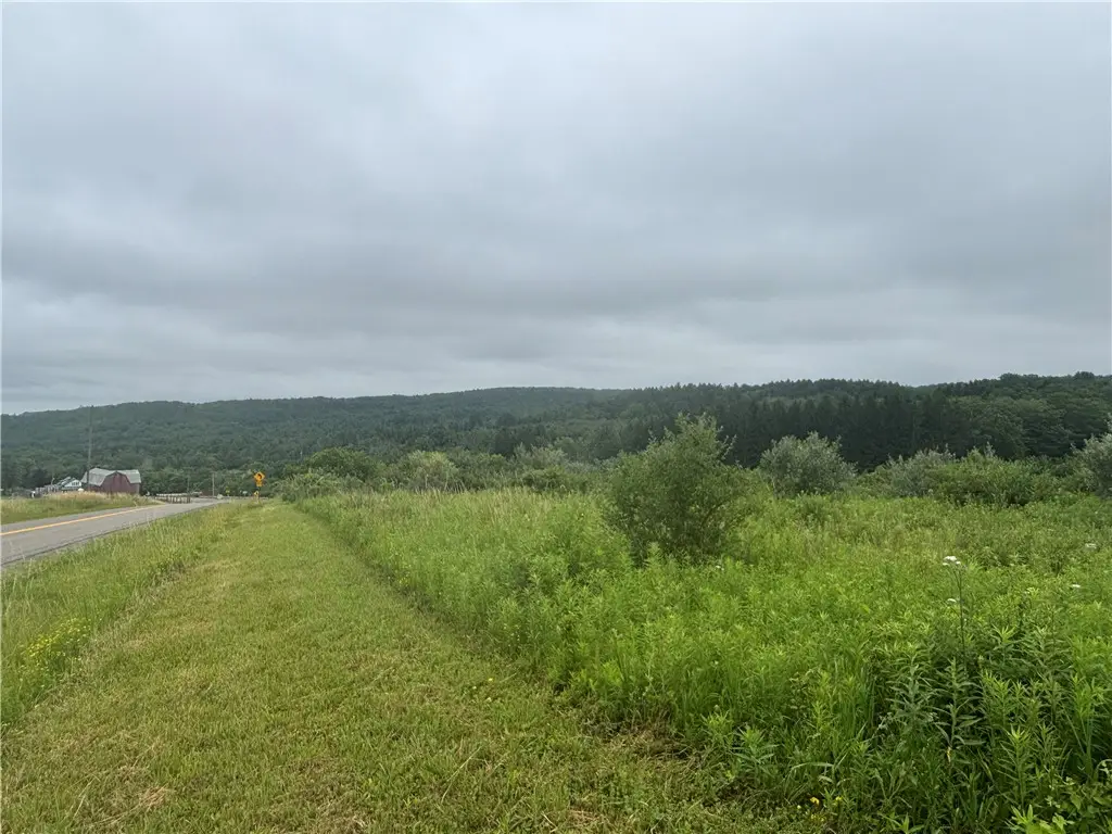 VL Lot 2 County Route 46, Dansville, NY 14437 - #1