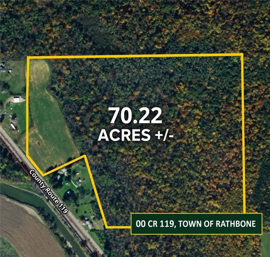00 County Route 119, Addison, NY 14801 - #1