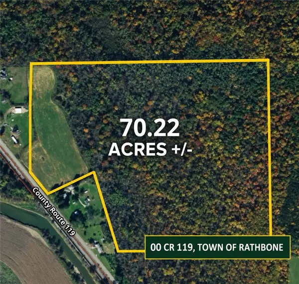 00 County Route 119, Addison, NY 14801