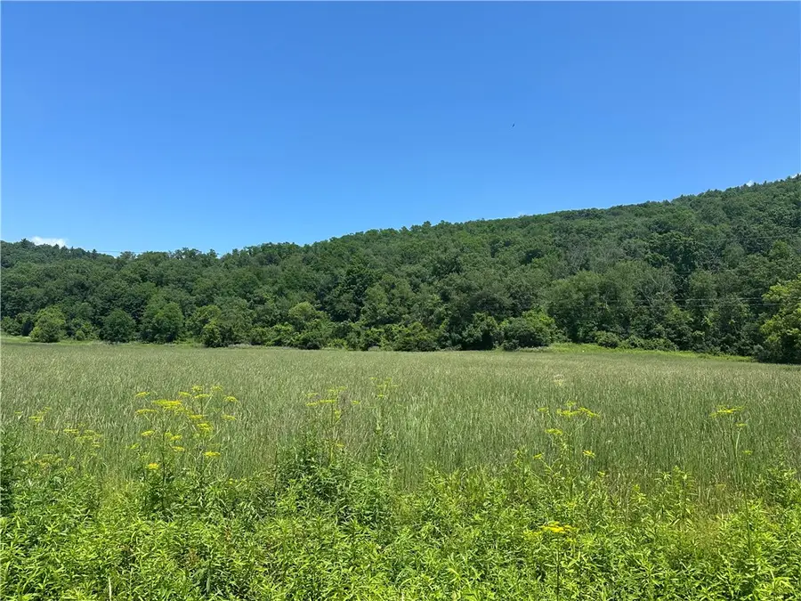 00 County Route 119, Addison, NY 14801 - #2