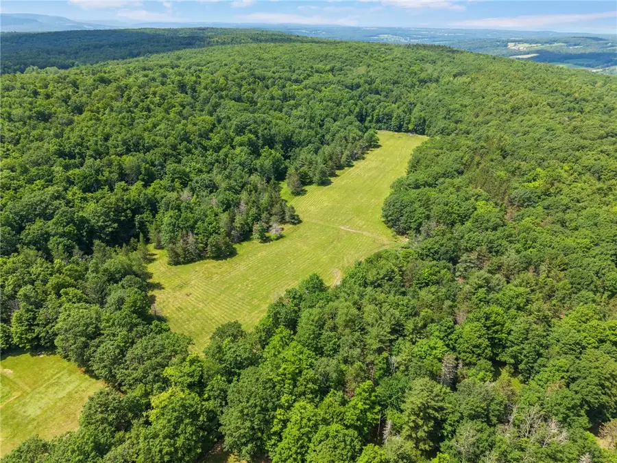 511 Willsie Road, Berne, NY 12059 - #3