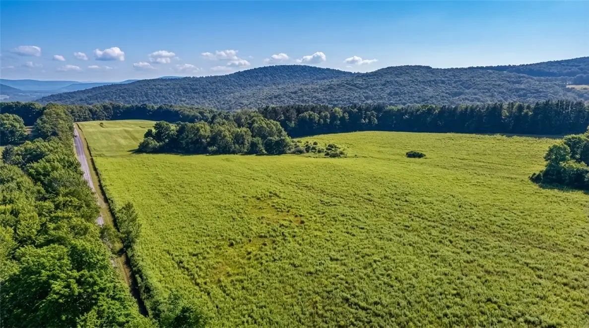 L14.01 Hinman Road, Cooperstown, NY 13326 - #1