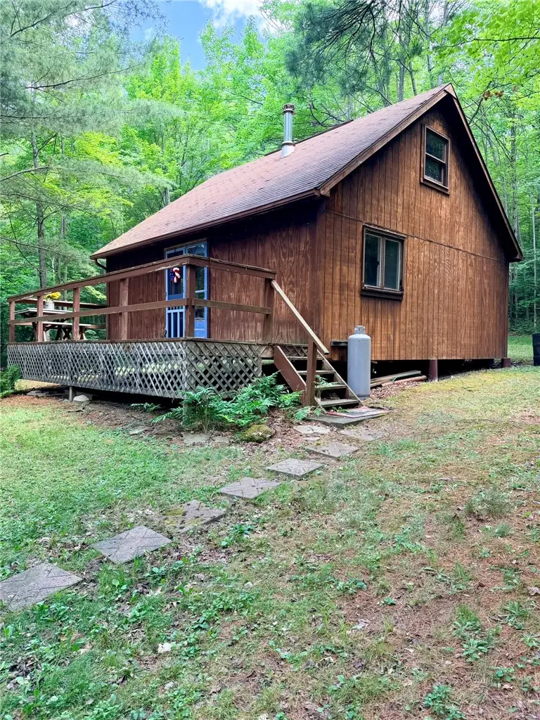 1667 Coon Hollow Road, Beaver Dams, NY 14812 - #1
