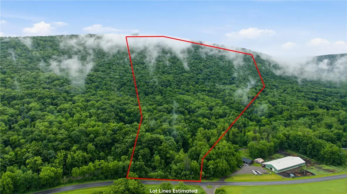 6070 Italy Valley Road, Naples, NY 14512 - #1