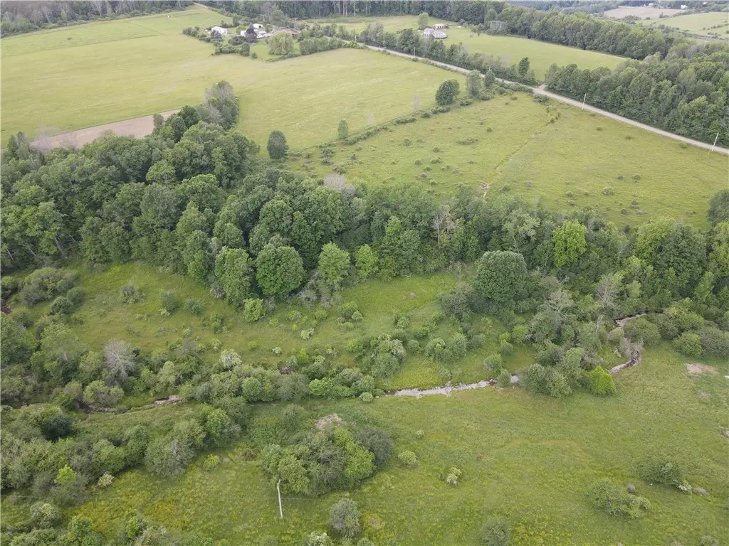 LOT 12 Beebe Hill Road, Cuba, NY 14727 - #1