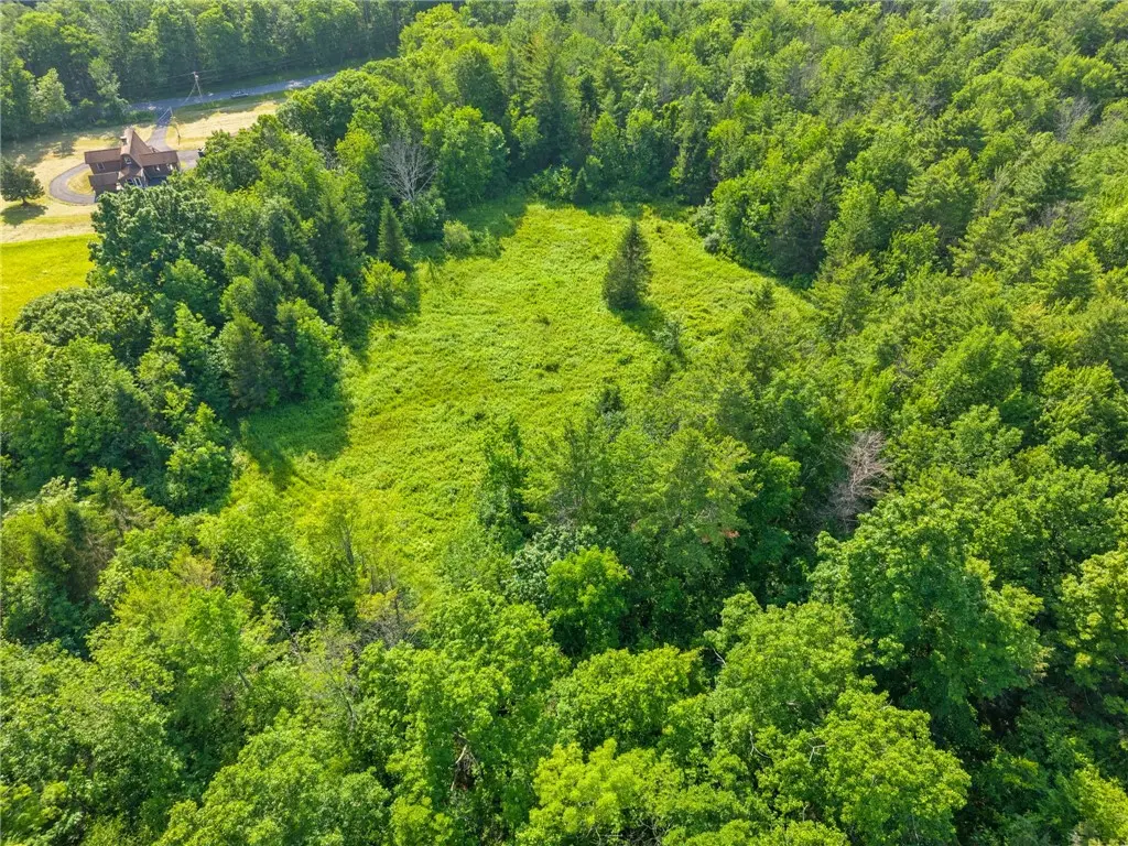 Guinea Road, Middleburgh, NY 12122 - #1