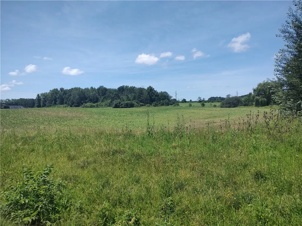 Route 5 & 20, Seneca Falls, NY 13148 - #1