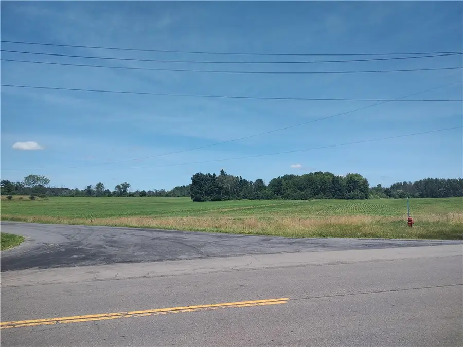 Route 5 & 20, Seneca Falls, NY 13148 - #2