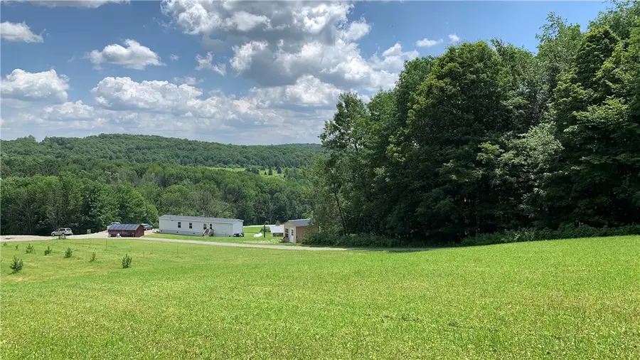 667 Boos Law Road, Smyrna, NY 13464 - #3
