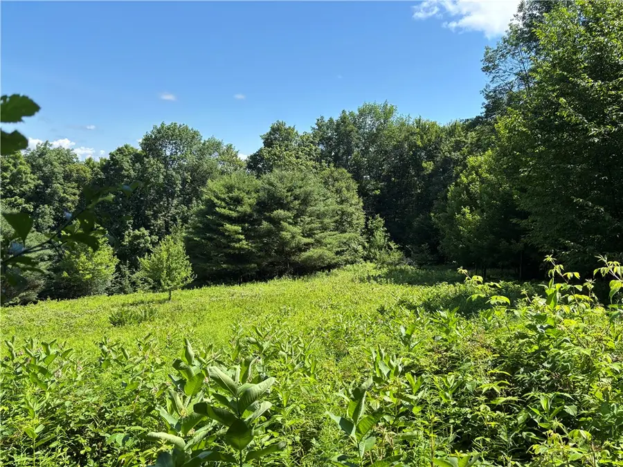 0 Mckee Hill Road, East Meredith, NY 13757 - #2