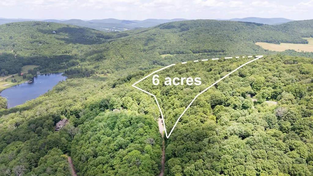 Timberland Drive, Andes, NY 13731 - #1