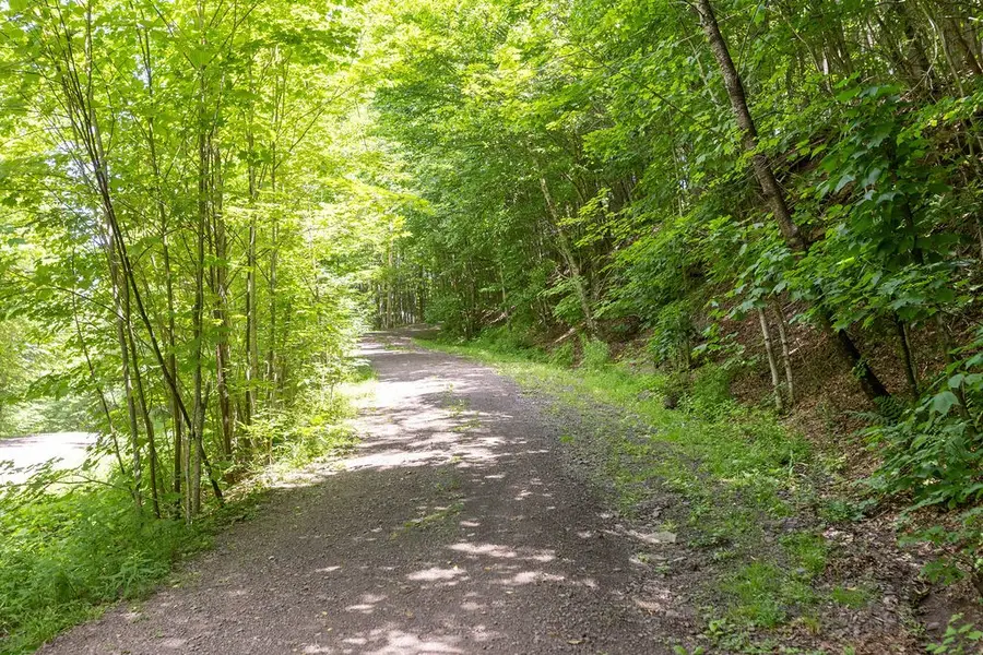 Timberland Drive, Andes, NY 13731 - #3