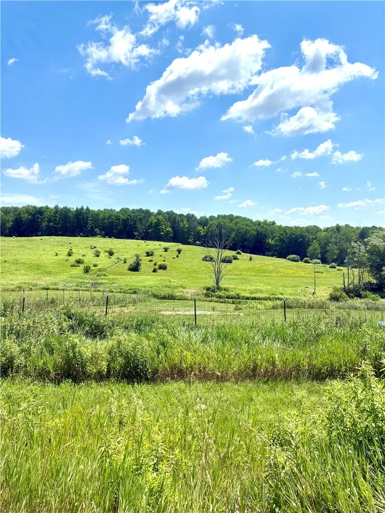 4758 Tucker Road, Campbell, NY 14821 - #2