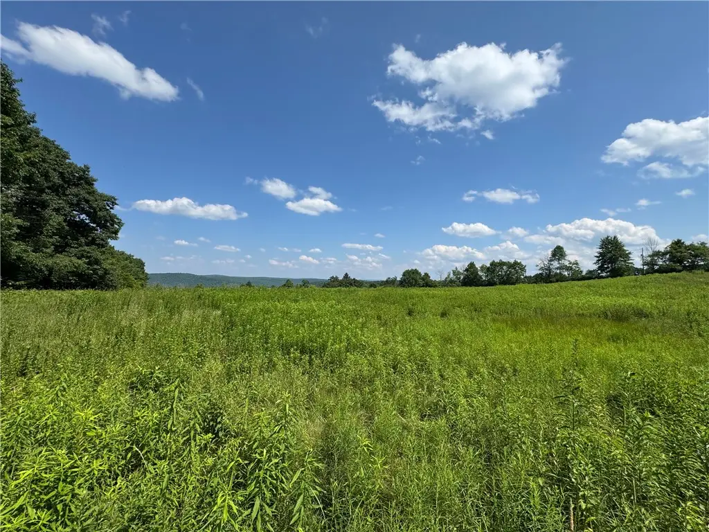 Wilbur Hill Road, Butternuts, NY 13776 - #1