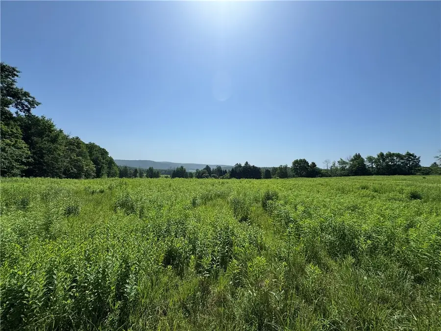 Wilbur Hill Road, Butternuts, NY 13776 - #2