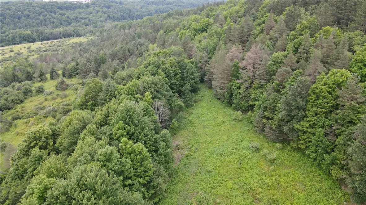 0 Hornell Reservoir Road, Hornell, NY 14843 - #1