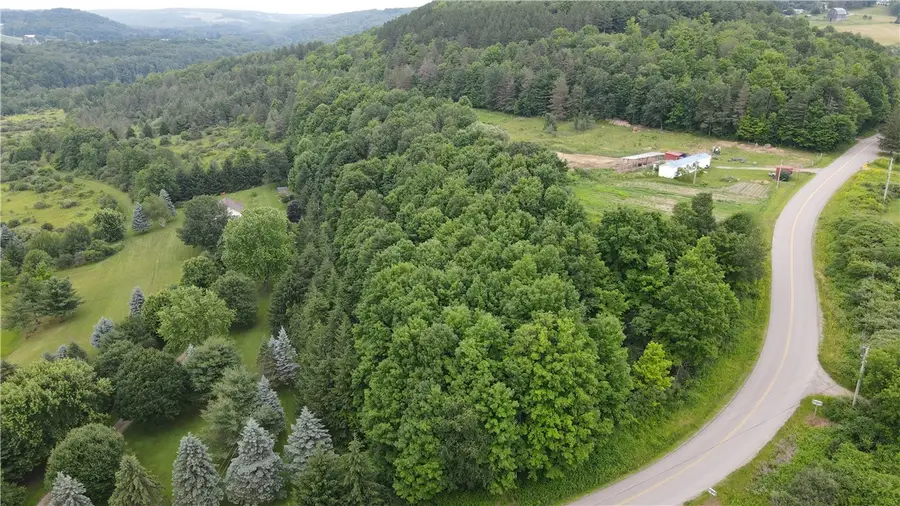 0 Hornell Reservoir Road, Hornell, NY 14843 - #2