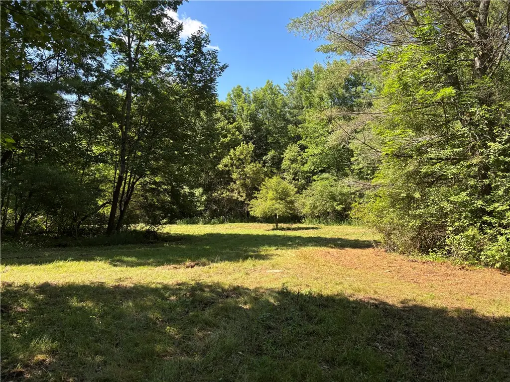 0 Cronin Road, Schenevus, NY 12155 - #1