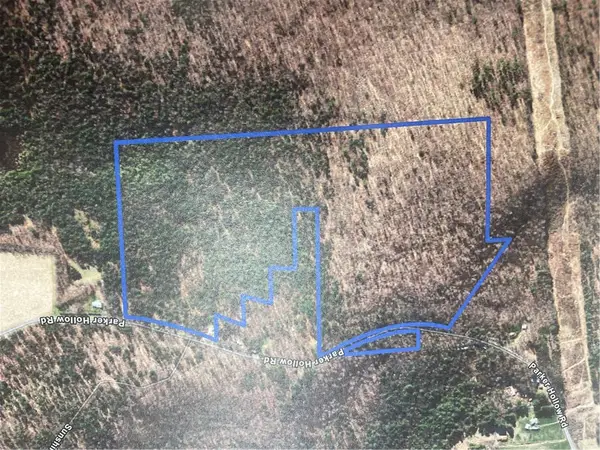 Parker Hollow Road, Unadilla, NY 13838