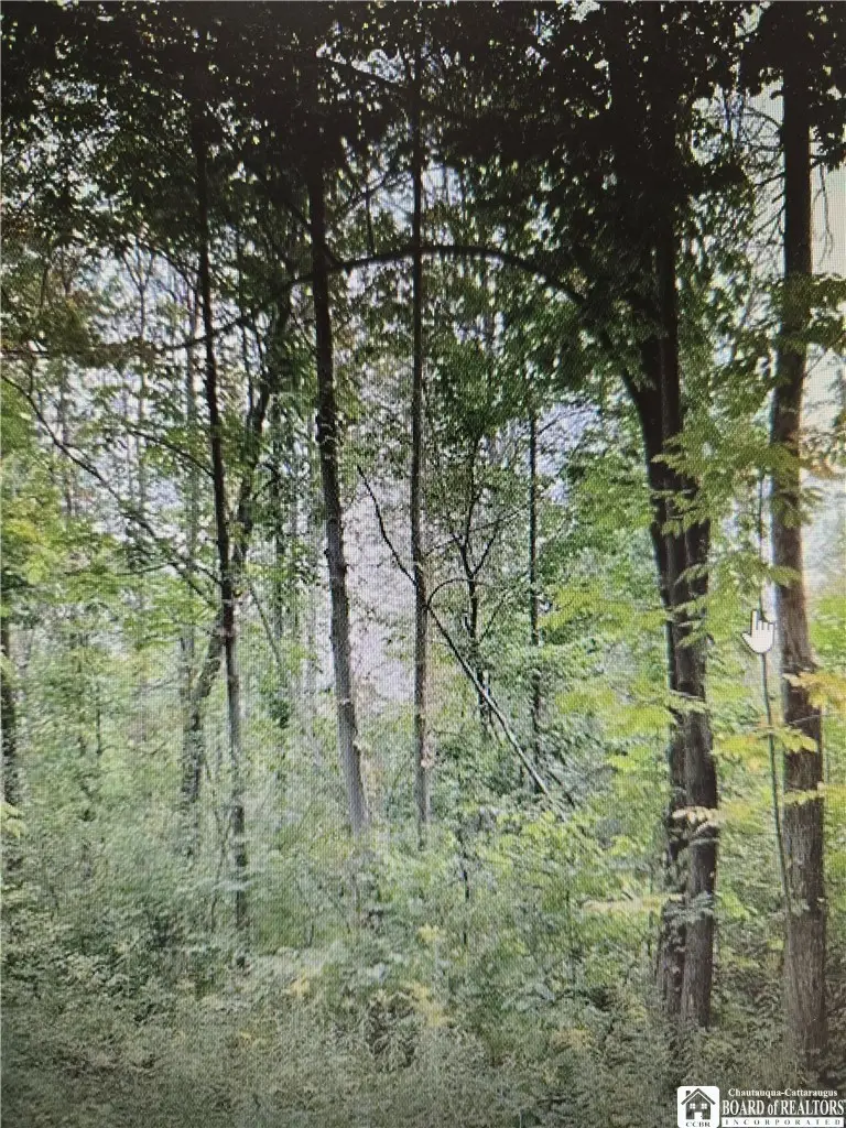 5 W Rt-5, Portland, NY 14769 - #1