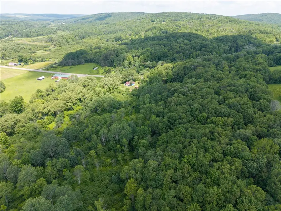 9052 County Road 15b, Canaseraga, NY 14822 - #2