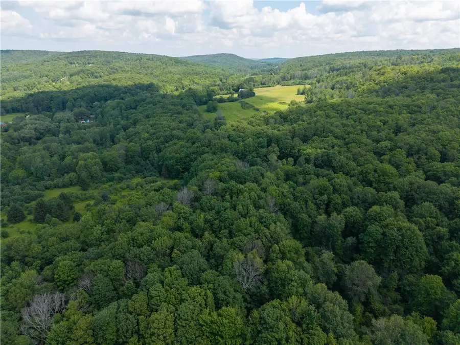 9052 County Road 15b, Canaseraga, NY 14822 - #3