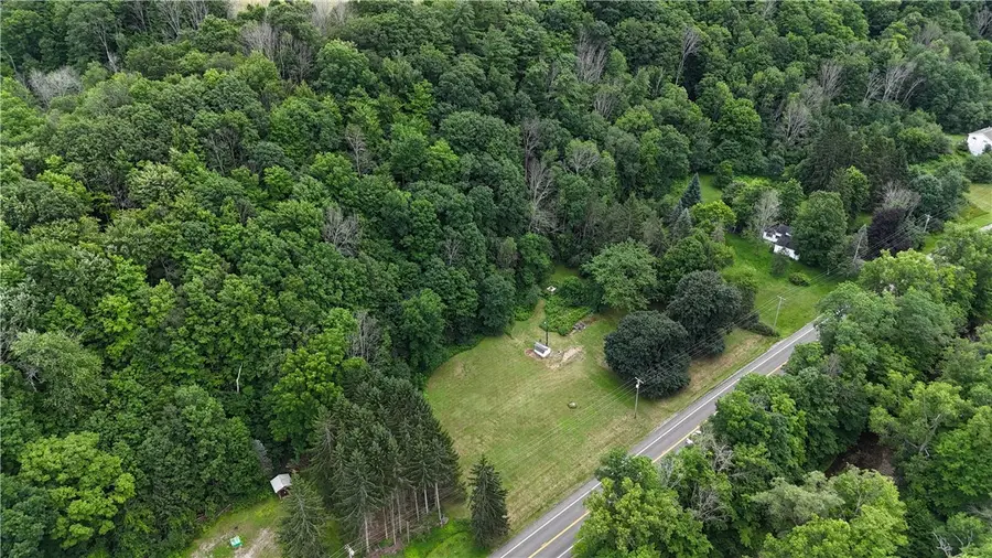 5982 State Route 21, Alfred Station, NY 14803 - #3