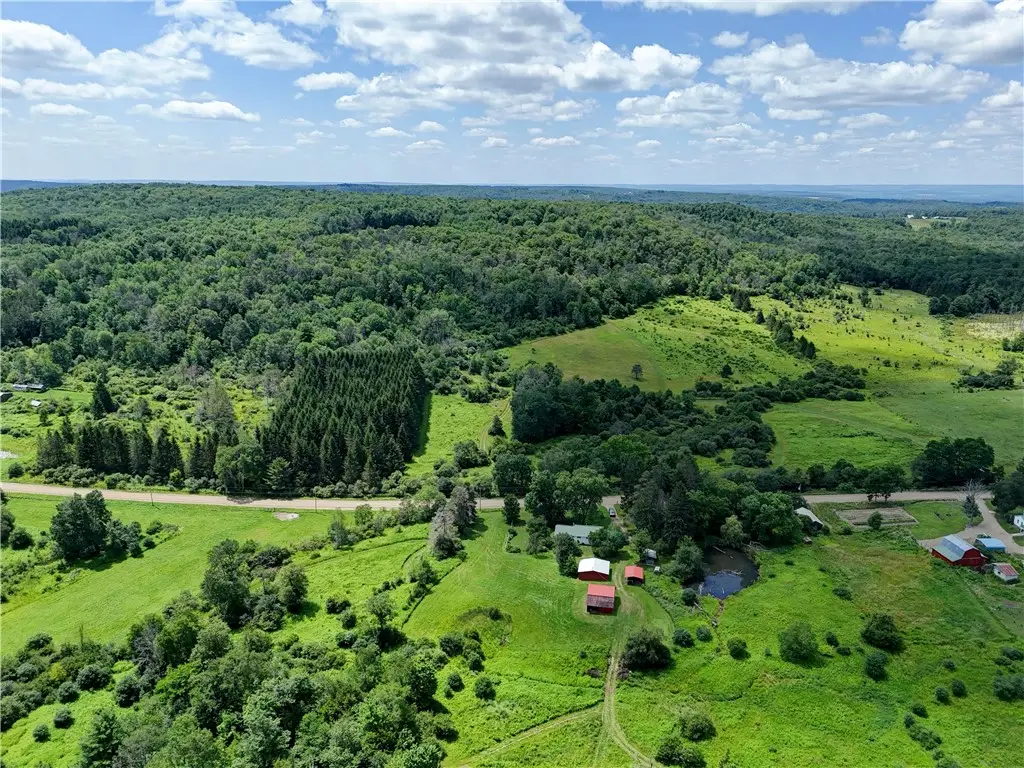 9085 Old State Road, Angelica, NY 14709 - #1