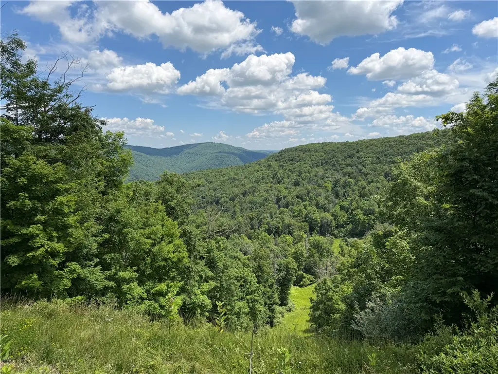 VL Catatunk Road #R, Canisteo, NY 14823 - #1