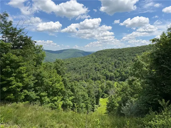 VL Catatunk Road #R, Canisteo, NY 14823