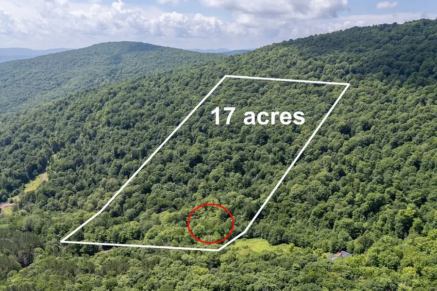 4265 Weaver Hollow Road, Andes, NY 13731 - #3