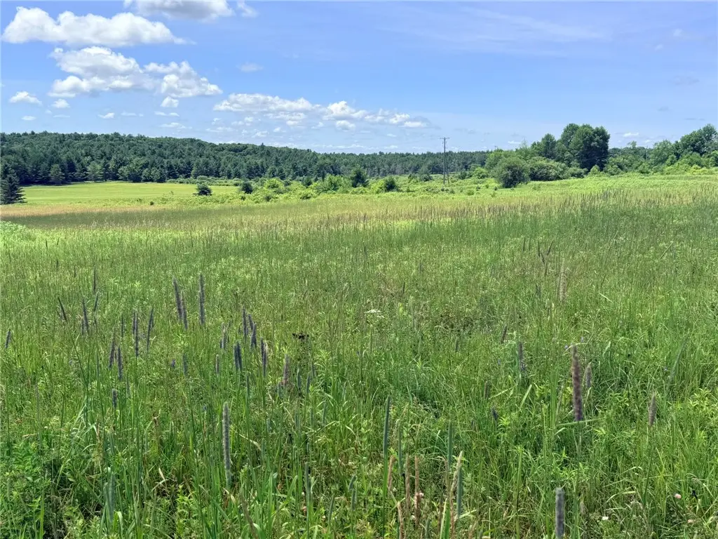 L19 N Pond Road, Guilford, NY 13780 - #1