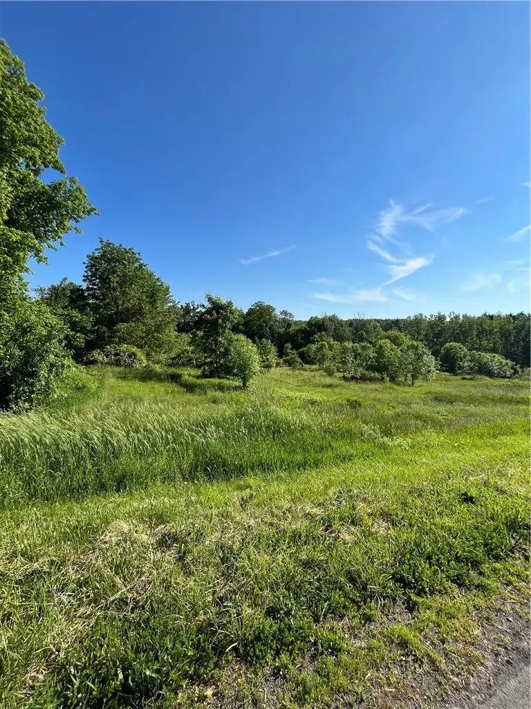 3633 Warner Road, Marion, NY 14505 - #2