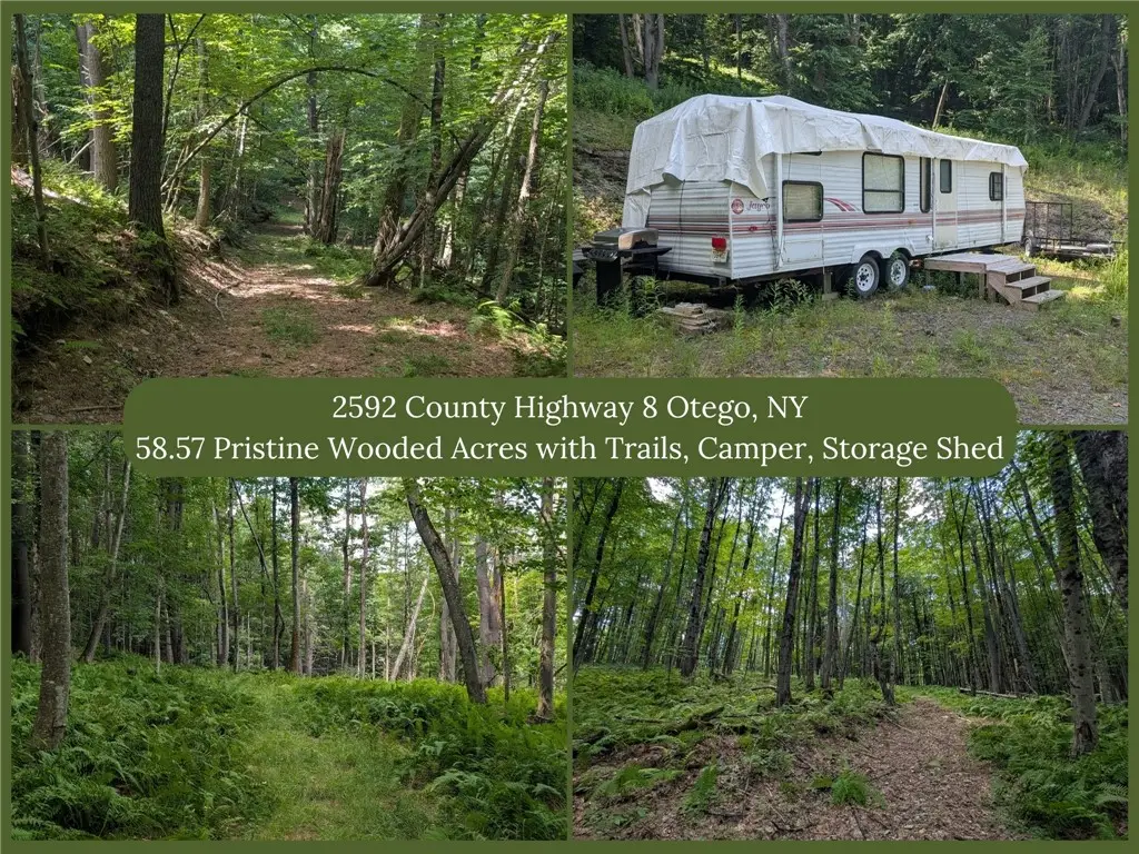 2592 County Highway 8, Otego, NY 13825 - #1