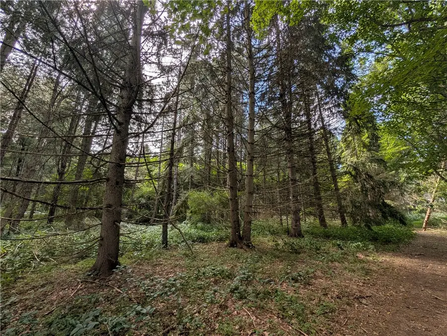1510 Cranberry Pond, Victor, NY 14564 - #3