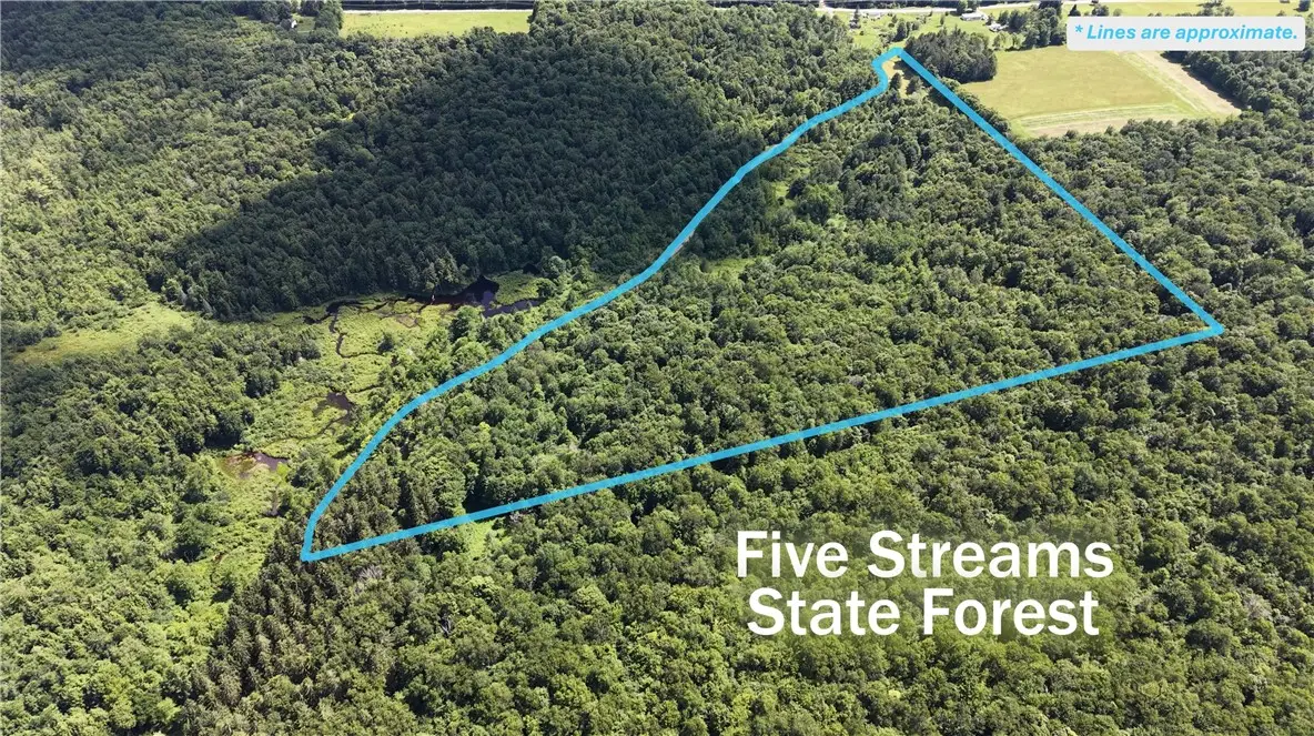 *rabbit Path (polp: 409 Cty Rd 5), German, NY 13801 - #1