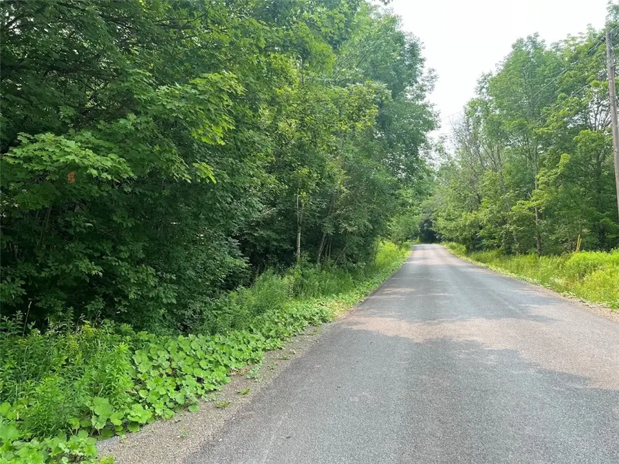 Bramley Mountain Road, Delhi, NY 13753 - #2
