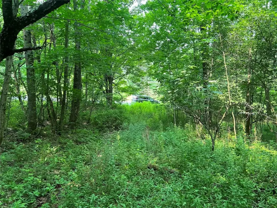 Bramley Mountain Road, Delhi, NY 13753 - #3