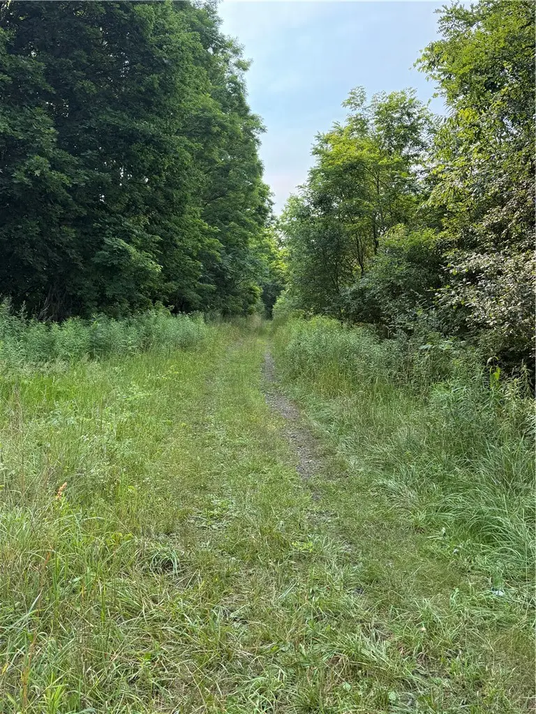 0 State Route 224, Odessa, NY 14869 - #2