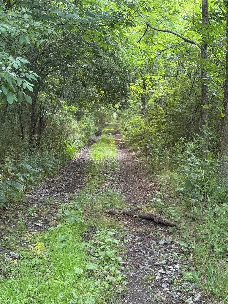 0 State Route 224, Odessa, NY 14869 - #3