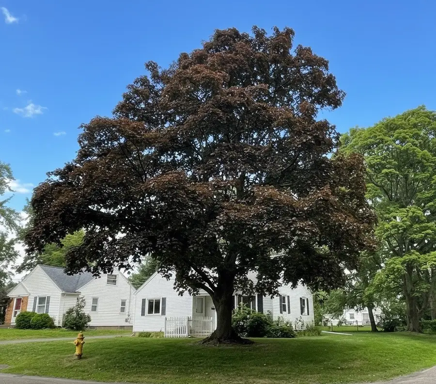112 Clarington Street, Rochester, NY 14609 - #3