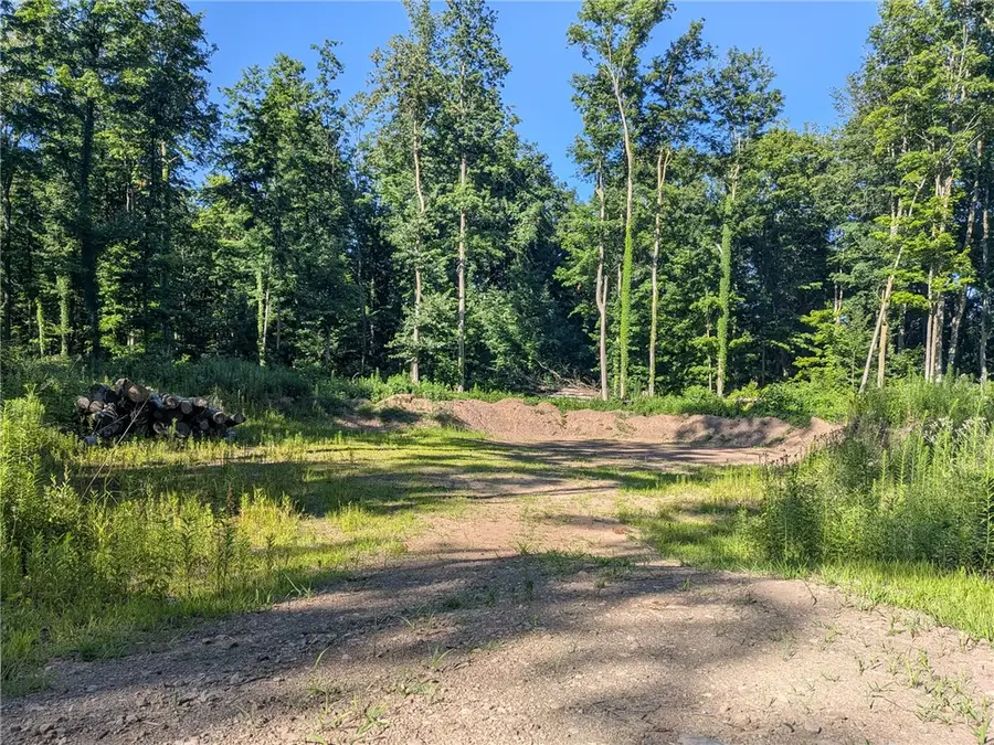 Vl Lake Bluff Road, Wolcott, NY 14590 - #2