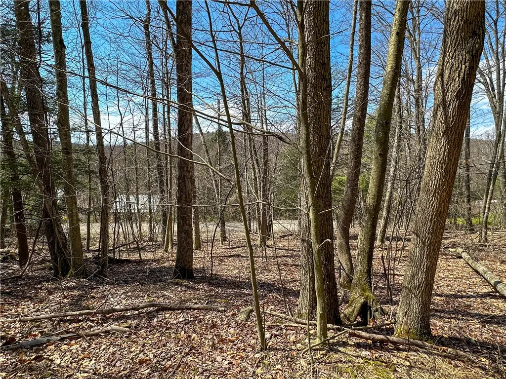 1232 Bell Hill Road, Lindley, NY 14858 - #1