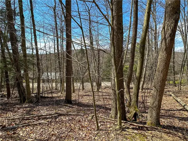 1232 Bell Hill Road, Lindley, NY 14858