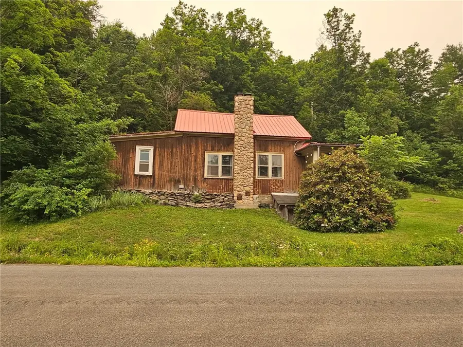 6243 Charlotte Creek Road, Davenport, NY 13750 - #2